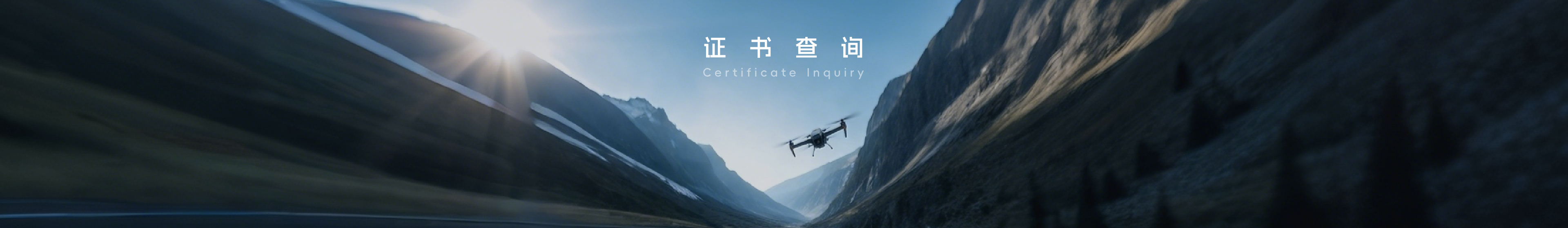 证书查询banner